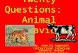 Twenty Questions: Animal Behavior By, Jennifer Sagendorf Instructional Technology Resource Teacher Suffolk Public Schools