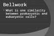 Bellwork  What is one similarity between prokaryotic and eukaryotic cells? 1