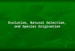 Evolution, Natural Selection, and Species Origination