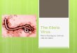 The Ebola Virus Mario Rodriguez Solivan 200-90-3863