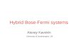 Hybrid Bose-Fermi systems Alexey Kavokin University of Southampton, UK
