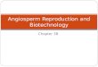 Chapter 38 Angiosperm Reproduction and Biotechnology