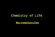 Chemistry of Life Macromolecules Smaller molecules linked together to create large molecules –Polymerization –Have specific 3d shape Proteins - enzymes,