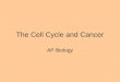 The Cell Cycle and Cancer AP Biology. Cell Cycle Numerous genes control the cell cycle They regulate the progression through checkpoints. A sensor detects