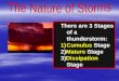 There are 3 Stages of a thunderstorm: 1)Cumulus Stage 2)Mature Stage 3)Dissipation Stage
