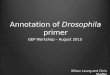 Annotation of Drosophila primer GEP Workshop â€“ August 2015 Wilson Leung and Chris Shaffer