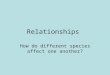 Relationships How do different species affect one another?
