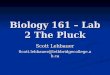 Biology 161 – Lab 2 The Pluck Scott Lehbauer Scott.lehbauer@lethbridgecollege.ab.ca