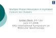 Multiple Photon Absorption in Hydrated Cesium Ion Clusters Jordan Beck, Jim Lisy June 17,2008 OSU International Symposium on Molecular Spectroscopy