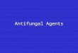Antifungal Agents. Drugs used to treat infections caused by fungi Systemic and topicalSystemic and topical