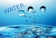 WATER.. Introduction 1ºWhat is water? 2ºThe water cycle 3ºWater and living things