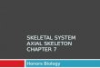 SKELETAL SYSTEM AXIAL SKELETON CHAPTER 7 Honors Biology