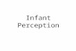 Infant Perception. William James, 1890 “The baby, assailed by eyes, ears, nose, skin and entrails all at once, feels it all as one great blooming, buzzing