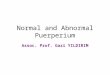 Normal and Abnormal Puerperium Assoc. Prof. Gazi YILDIRIM