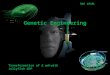Genetic Engineering BSC 1010L Transformation of E. coli with Jellyfish GFP