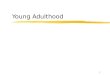 1 Young Adulthood. 2  The adult phase of development encompasses the years from the end of adolescence to death:  Young adulthood 20 – 40  Middle adulthood