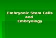 Embryonic Stem Cells and Embryology. What are embryonic stem cells?  derived from embryos that develop from eggs that have been fertilized in vitro