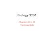Biology 3201 Chapters 20 + 21 The Essentials. Micro vs. Macro Evolution Micro Evolution Evolution on a smaller scale. This is evolution within a particular