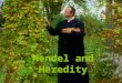 Mendeland Heredity Mendel and Heredity I. The Origin of Genetics A.Mendel’s Studies of Traits 1. Gregor Johann Mendel-(1822-1884) Austrian Augustinian