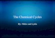 The Chemical Cycles By: Nikko and Lydia The 3 Main Cycles Carbon cycle Nitrogen cycle Phosphorus cycle 2 broad divisions Elements that have a gaseous