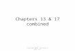 Chapters 13 & 17 combined Copyright 2010, John Wiley & Sons, Inc