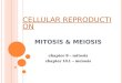 C ELLULAR R EPRODUCTION C ELLULAR R EPRODUCTION MITOSIS & MEIOSIS chapter 9 – mitosis chapter 10.1 – meiosis