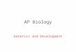 AP Biology Genetics and Development. ZYGOTE Fertilized egg of a frog