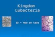 Kingdom Eubacteria Eu = new or true. Parts of a bacterial cell  Cell wall (most have one thick cell wall OR a double cell wall)  Cell membrane  Cytoplasm