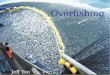 Overfishing Jeff Yoo. What is Overfishing? Overfishing can be defined in many way but it all comes down to one simple point: Catching too much fish. Fishing
