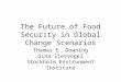 The Future of Food Security in Global Change Scenarios Thomas E. Downing Gina Ziervogel Stockholm Environment Institute