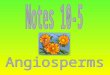 1.) Gymnosperms 2.) Angiosperms The flower helps the plant to reproduce