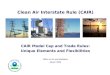 Clean Air Interstate Rule (CAIR) CAIR Model Cap and Trade Rules: Unique Elements and Flexibilities Office of Air and Radiation March 2005