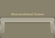 Musculoskeletal System. Inflammatory Disorders Presentations Rheumatoid Arthritis Ankylosing spondylitis Osteomyelitis Bursitis