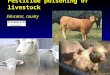 Pesticide poisoning of livestock Educator, county