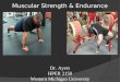 Muscular Strength & Endurance Dr. Ayers HPER 2150 Western Michigan University