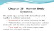 The eleven organ systems of the human body work together to maintain homeostasis Homeostasis is the internal balance of the body Within the body are levels