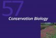 57 Conservation Biology. 57 Introduction Why Care about Species Extinctions? Estimating Current Rates of Extinction Preserving Biodiversity Habitat Restoration