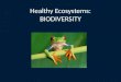 Healthy Ecosystems: BIODIVERSITY. Biodiversity variety of different species of micro-organisms, animals and plants all organisms must interact ecosystems