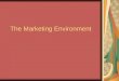 The Marketing Environment. Marketing Environment Marketing Environment consists of the actors and forces outside marketing that affect marketing management’s