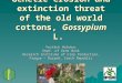 Genetic erosion and extinction threat of the old world cottons, Gossypium L. Vojtěch Holubec Dept. of Gene Bank Research Institute of Crop Production,