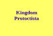 Kingdom Protoctista. Includes Protozoa and Algae Some are microscopic, but some can be observed by the unaided eye Some are unicellular organisms, but