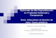 Diplomado de Alta Especialización en Propiedad Intelectual y Competencia Tema: Infracciones al Derecho de Autor. Casos prácticos. Expositora: Lourdes Herrera