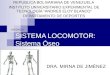 SISTEMA LOCOMOTOR: Sistema Óseo REPUBLICA BOLIVARIANA DE VENEZUELA INSTITUTO UNIVERSITARIO EXPERIMENTAL DE TECNOLOGÍA “ANDRES ELOY BLANCO” DEPARTAMENTO