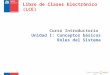 Curso Introductorio Unidad I: Conceptos básicos Roles del Sistema Curso creado por : Libro de Clases Electrónico (LCE)