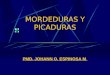 MORDEDURAS Y PICADURAS PMD. JOHANN O. ESPINOSA M