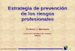1 Estrategia SOBANE 2004 Estrategia de prevención de los riesgos profesionales Profesor J. Malchaire Université Catholique de Louvaina Bélgica