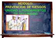 MODULO: PREVENCION DE RIESGOS UNIDAD 1:FUNDAMENTOS DE SEGURIDAD Profesor: Fabiola Guevara Z Ingeniero Forestal Marzo 2009