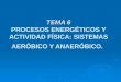 TEMA 6 TEMA 6 PROCESOS ENERGÉTICOS Y ACTIVIDAD FÍSICA: SISTEMAS AERÓBICO Y ANAERÓBICO