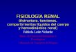 FISIOLOGÍA RENAL (Estructura, funciones, compartimientos líquidos del cuerpo y hemodinámica renal) Fabiola León Velarde Dpto. de Ciencias Biológicas y