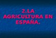 2.LA AGRICULTURA EN ESPAÑA.. - Las superficies de cultivo en España suelen ser pequeñas parcelas aunque la propiedad han ido aumentando en los últimos